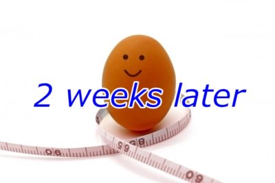 ダイエット2週間後