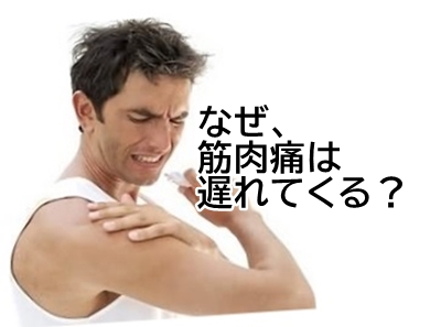 筋肉痛なぜ遅れるのか