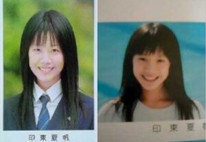 夏帆
