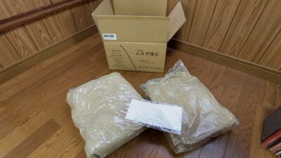 ムカデ博士