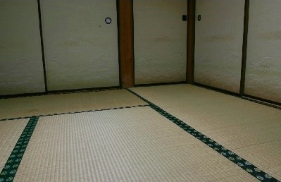 ムカデ 対策 和室