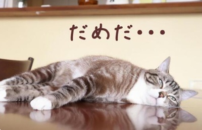 だめだ